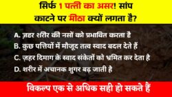 सिर्फ 1 पत्ती का असर! सांप काटने पर मीठा क्यों लगता है? जवाब जानकर चौंक जाएंगे Interesting GK Quiz in Hindi